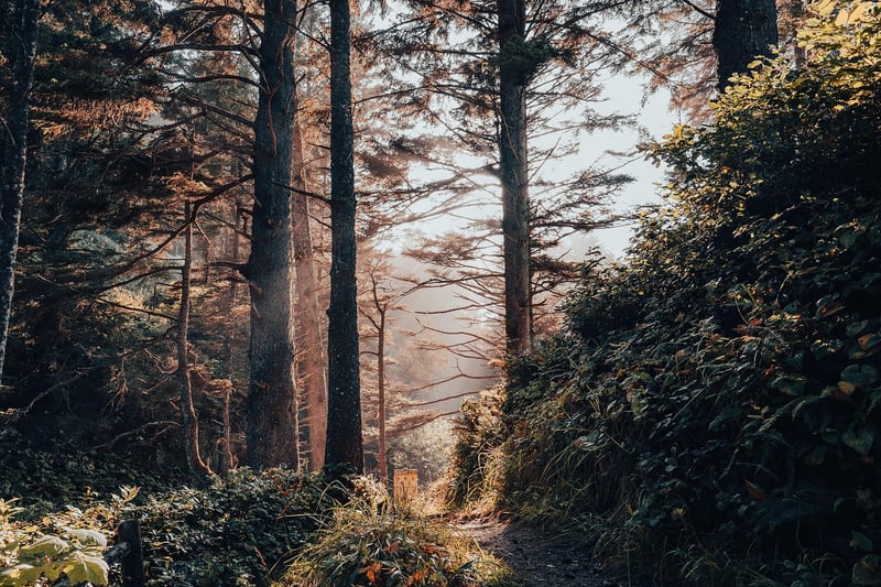 Wilderness Exploration